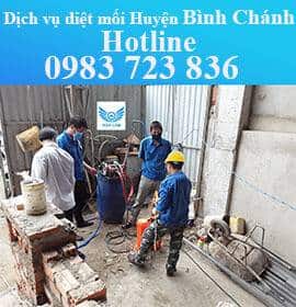 dịch vụ diệt mối tận gốc huyện bình chánh