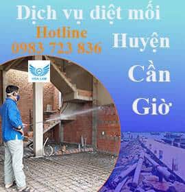 dịch vụ diệt mối tận gốc huyện cần giờ