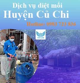 dịch vụ diệt mối tận gốc huyện củ chi